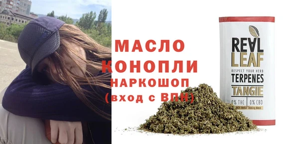 хмурый Абаза